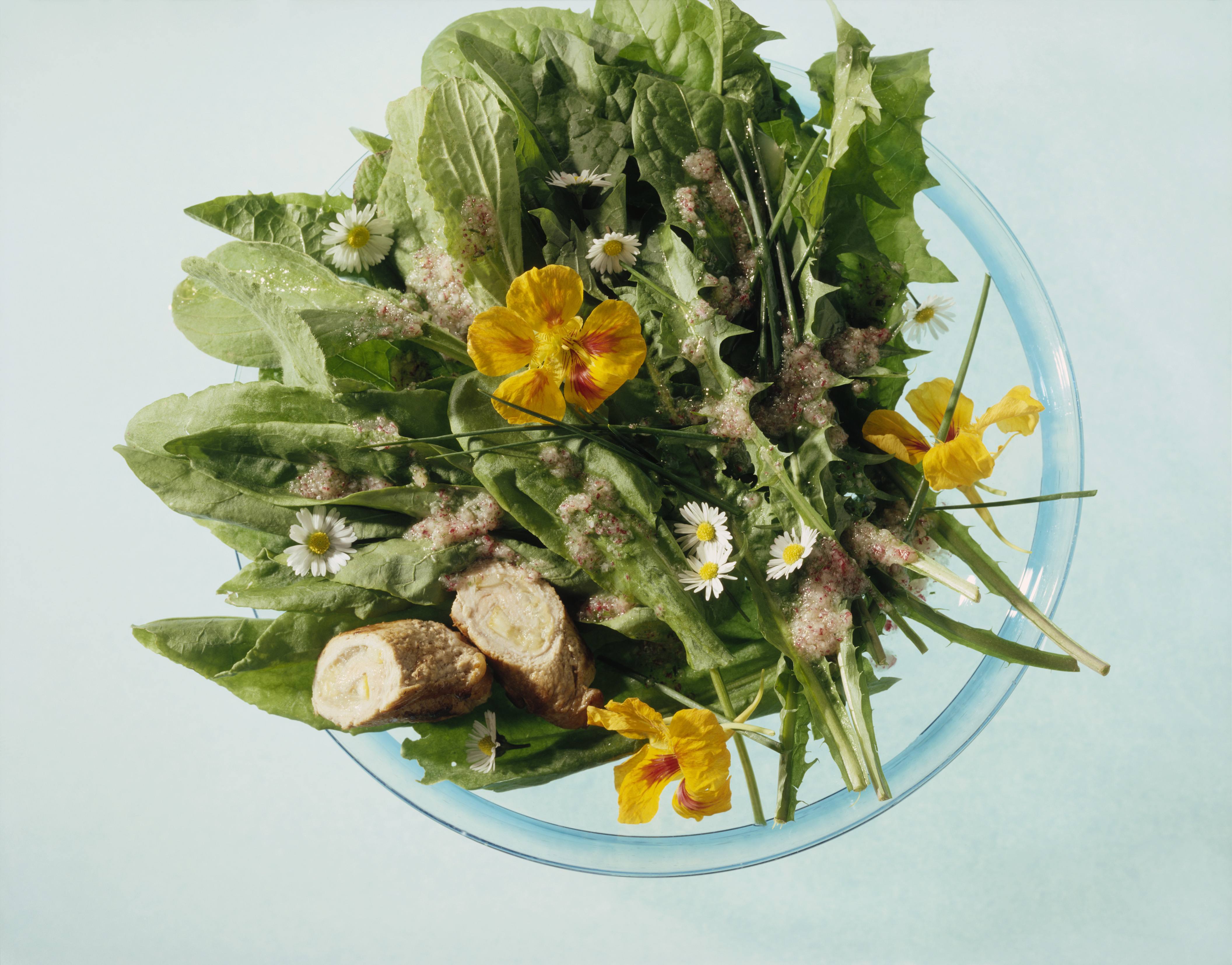 Knorr - Kräutersalat mit Fleischröllchen