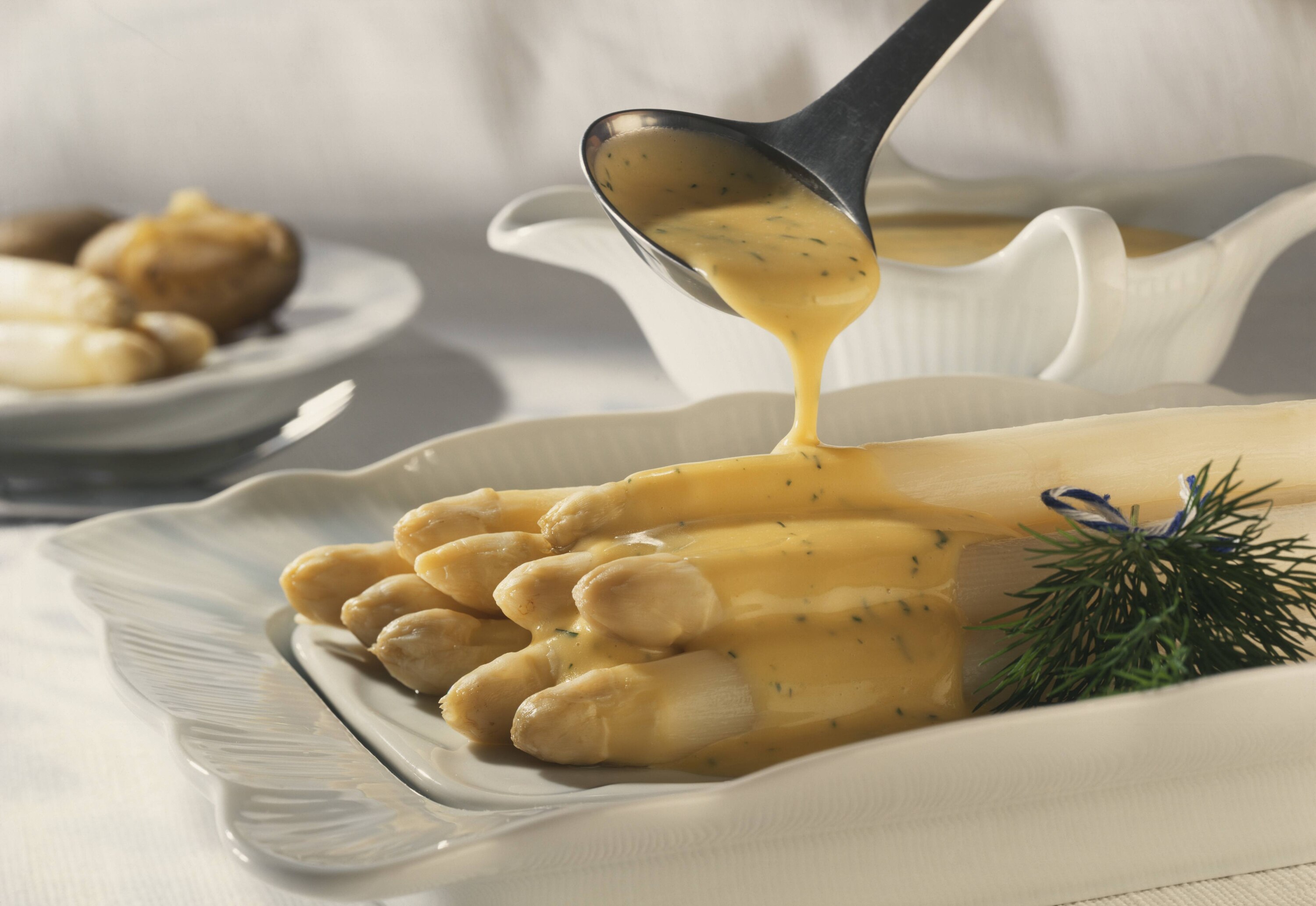 Knorr - Spargeln mit Dill-Hollandaise