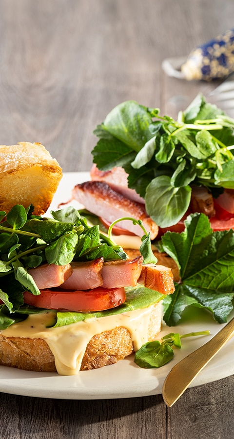 HONEY AND MUSTARD GAMMON SANDWICHES