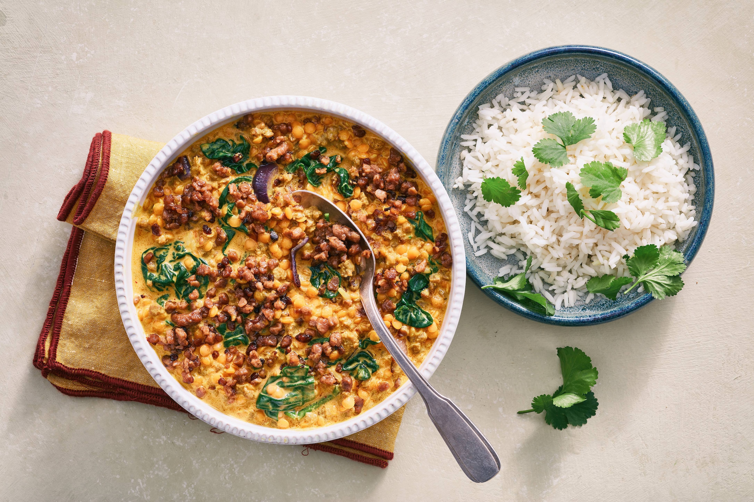 The Vegetarian Butcher - Veganes Curry aus roten Linsen mit Spinat