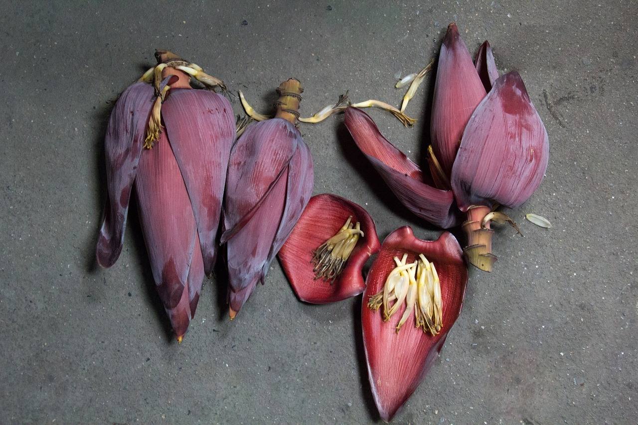ginataang puso ng saging or banana blossom