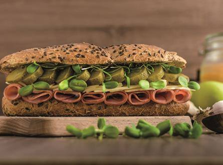 Käse-Sandwich mit Gurken