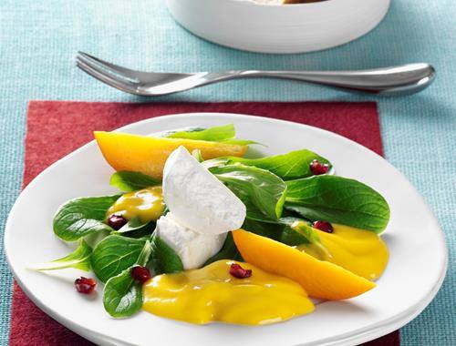 Ziegenkäse auf Feldsalat mit Mango-Chutney-Espuma