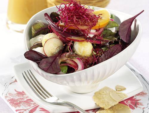 Mozzarella-Salat mit Orangen-Dressing