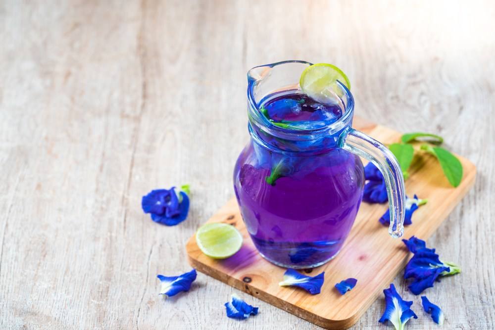 Resep Teh Bunga Telang Madu, Minuman Unik Bikin Adem - MAHI