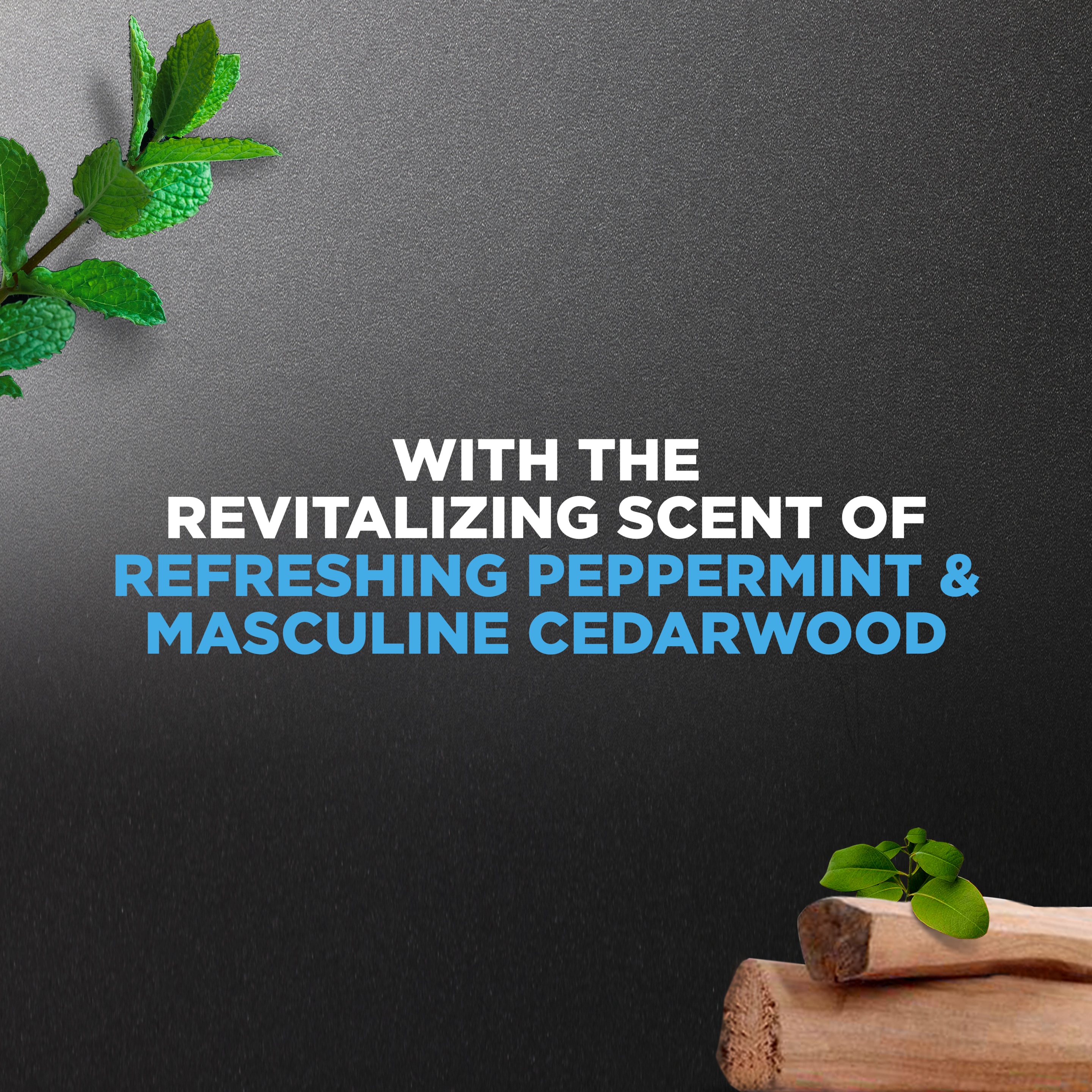 Men+Care 3N1 Recover with Peppermint Body, Face + Hair Wash