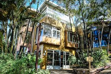 Pacotes de papel Mãe Terra