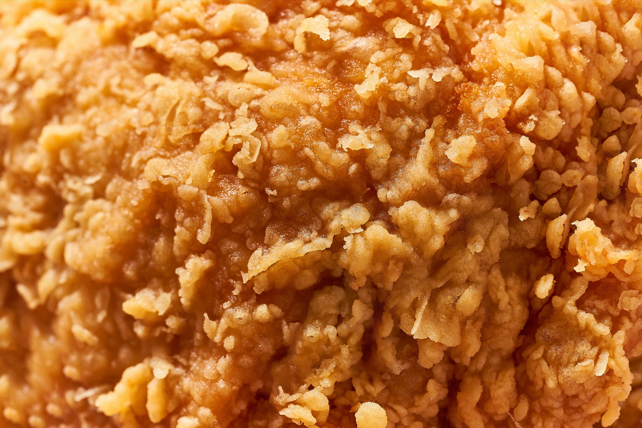 Close-up of chicken skin fried to a crisp