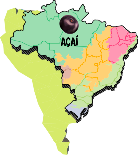 Mapa do Brasil com a fruta do açaí em destaque no estado da Amazônia