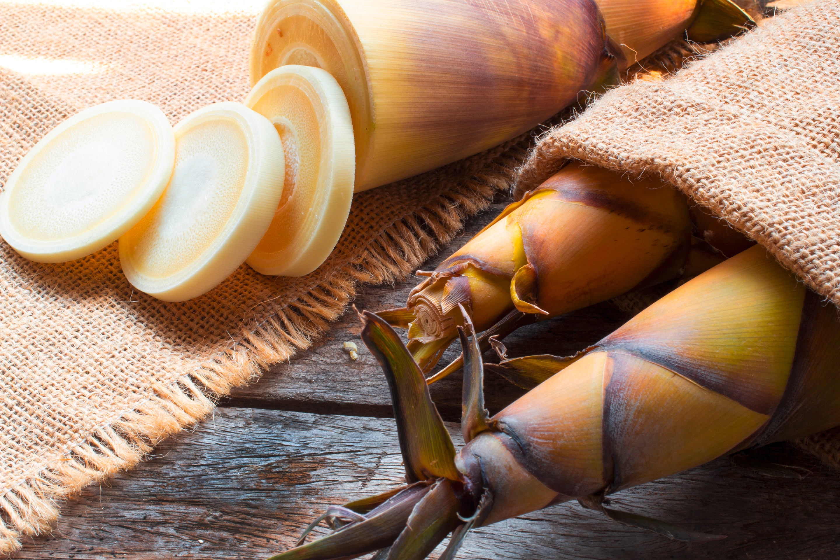 Bamboo Shoots: Nutrients, Benefits, and More