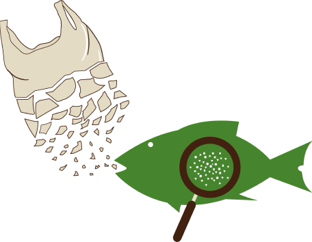 Embalagem de Produto Mae terra&quot;Zooreta&quot;