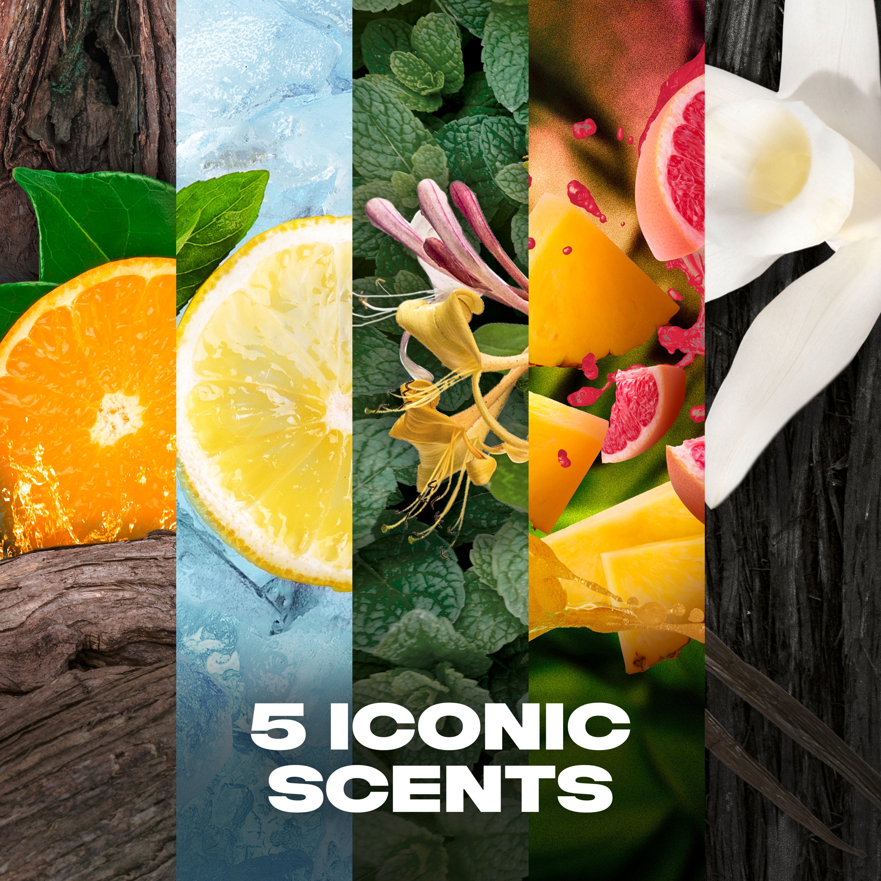 Lynx Iconic 5 scent Formats 