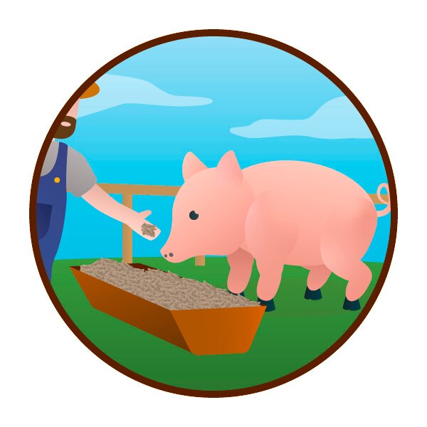 Unox Infographic V7 Unox Weetje Dierenvoer