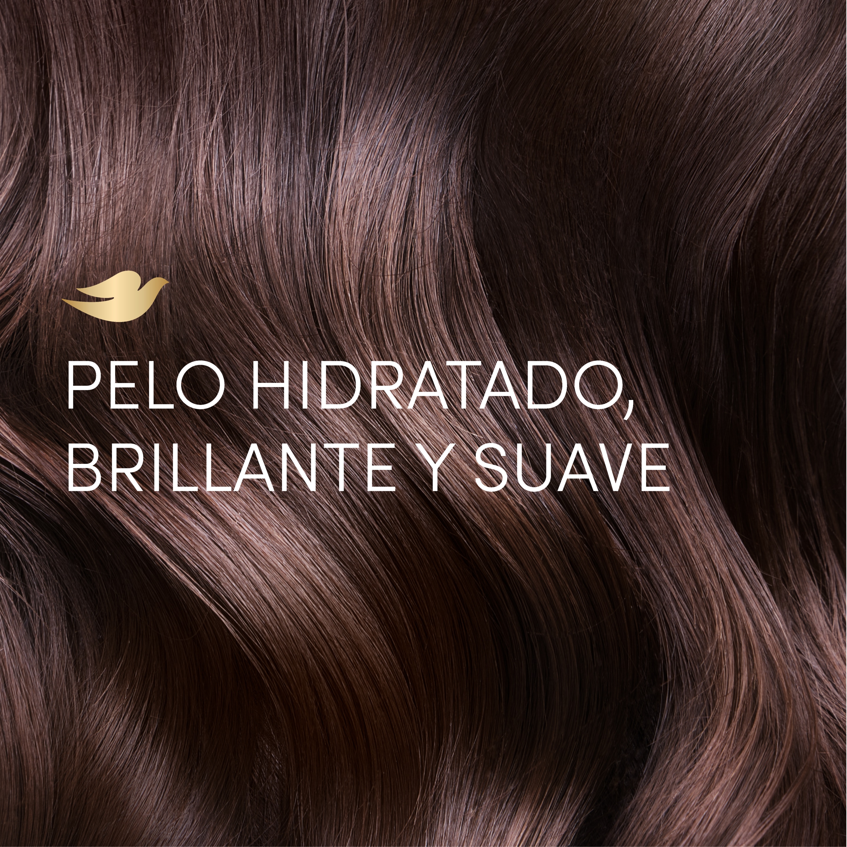 Acondicionador  DOVE  Brillo + Óleo Micelar 400 ml packshot