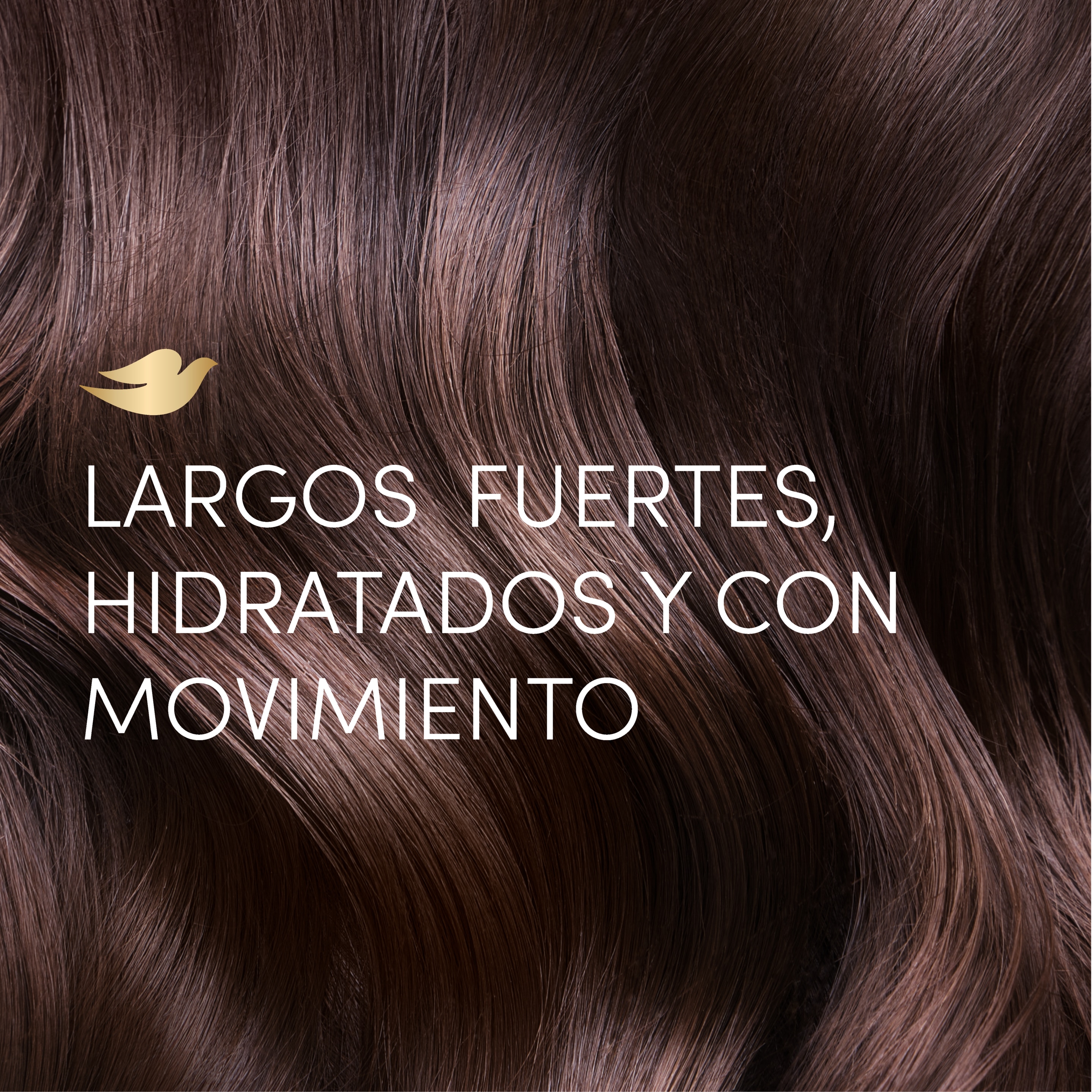 Acondicionador  DOVE  Largos Fortalecidos + Biotina 400 ml packshot