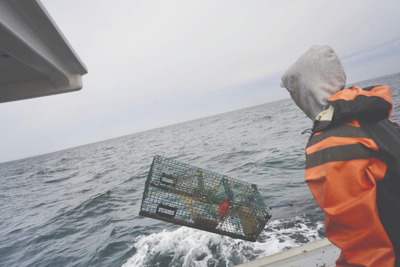 A sustainable journey into the world of maine lobster fishing