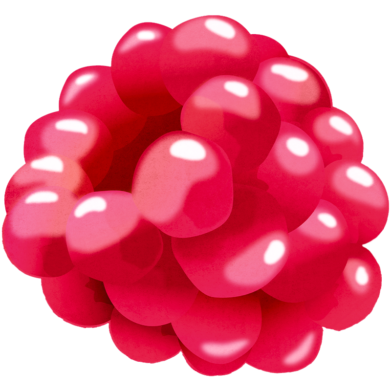 Lipton respberry