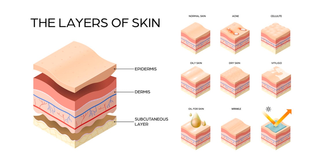 Tăng sức đề kháng cho da sẽ giúp bạn đẩy lùi các nguy cơ bênh tật, giúp làn da khỏe mạnh.