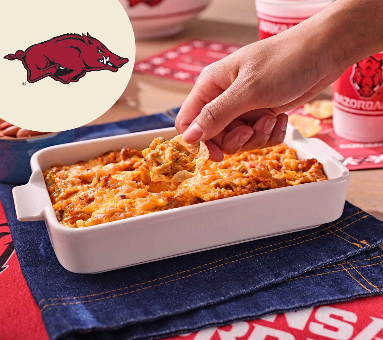 Spicy Chicken Dip Recipe