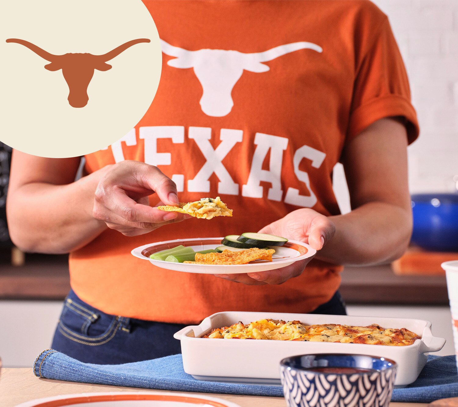 BBQ Chicken Dip Recipe
