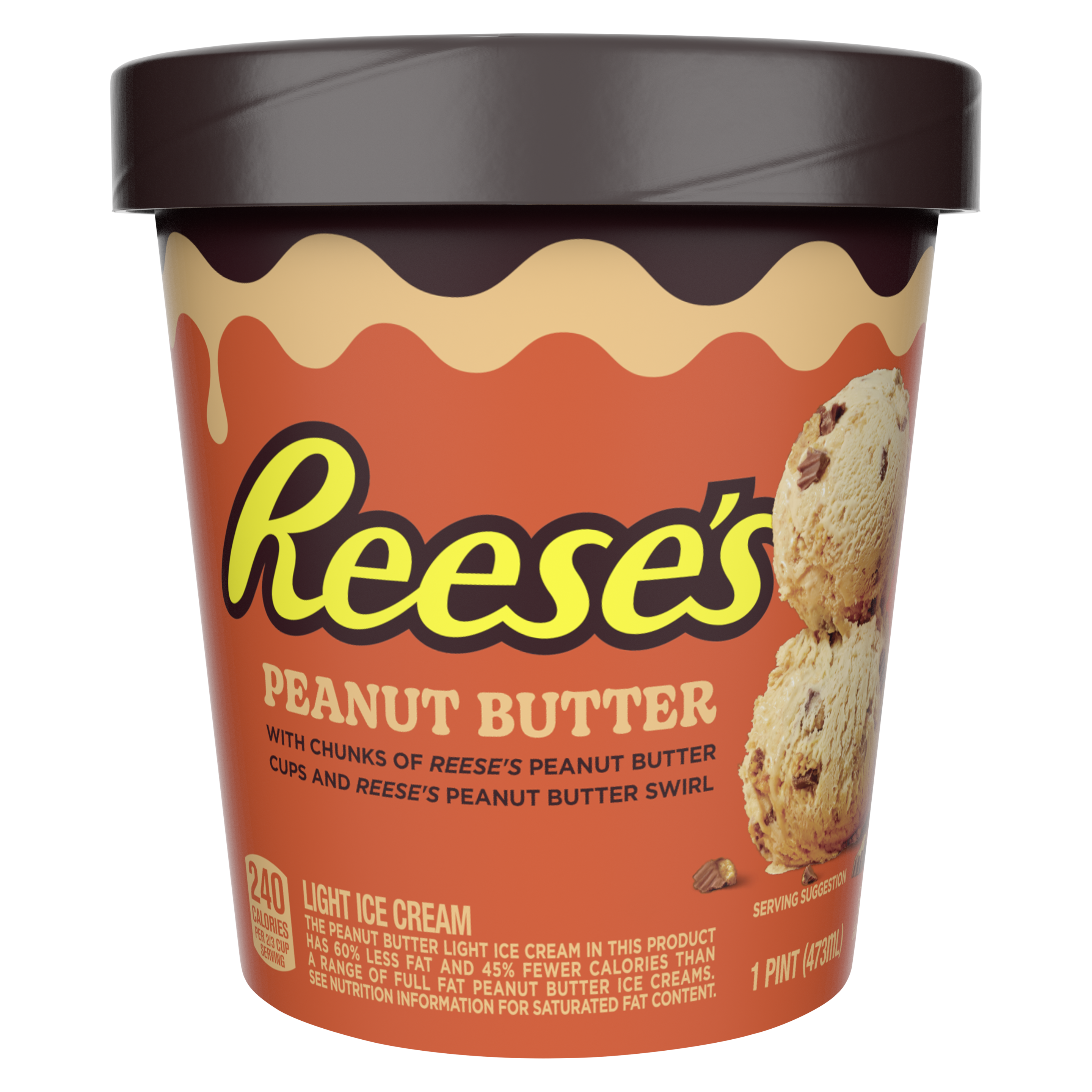REESE'S Peanut Butter Pint with visible REESE'S Peanut Butter chunks and REESE'S Peanut Butter swirls packshot