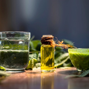 Apa itu Tea Tree Oil