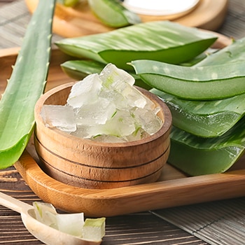 Manfaat Aloe Vera untuk Rambut