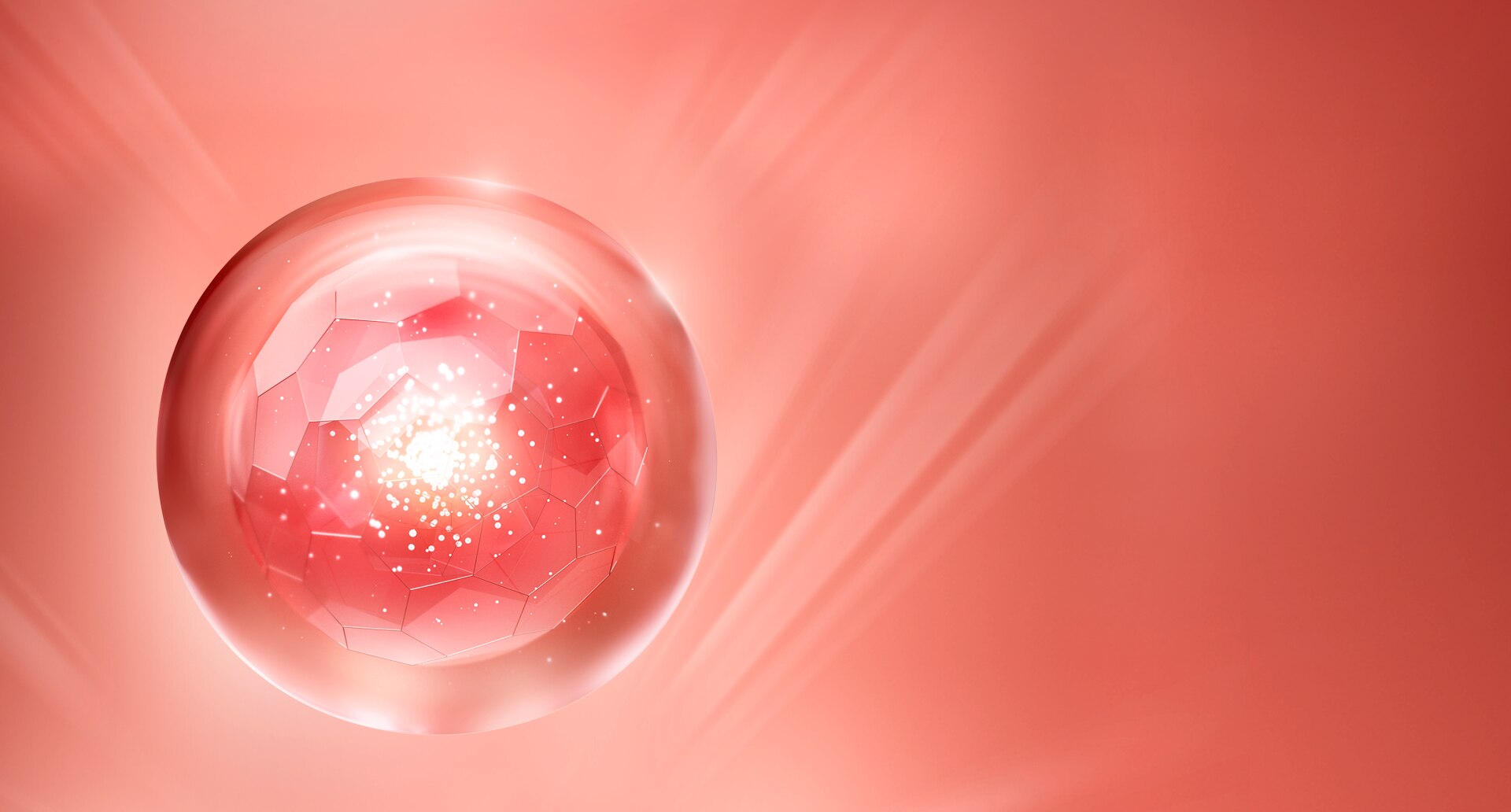 INTRODUCING MIRACLE INGREDIENT: