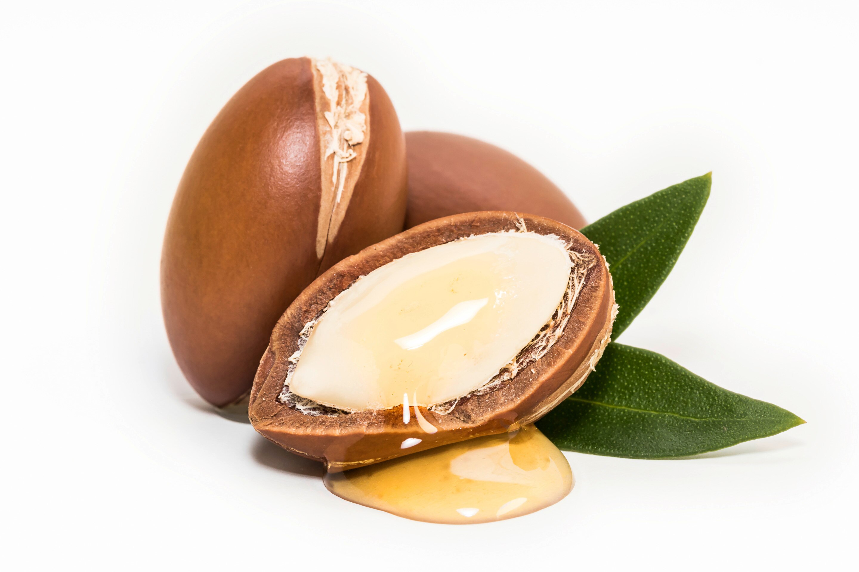 Three argan nuts with oil and leaves