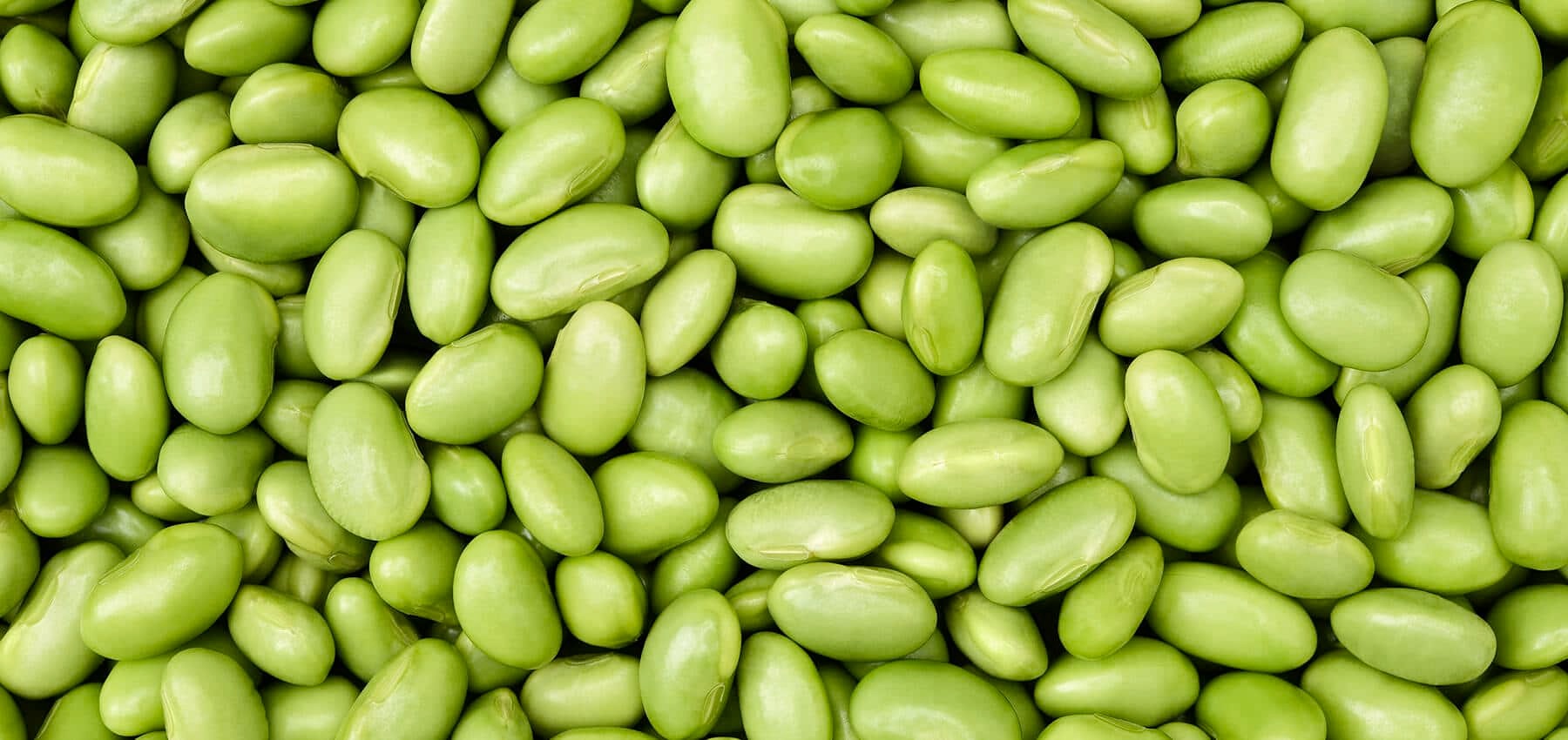 Soybean Oil