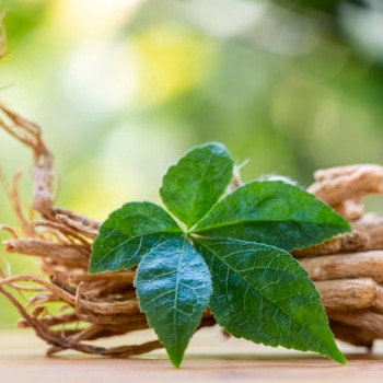 Manfaat Ginseng untuk Rambut