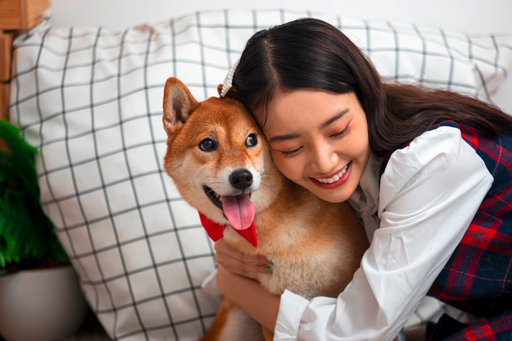Happy woman hugging a shiba inu dog.