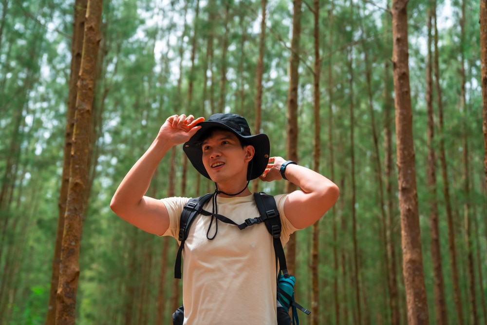 Hiking vs. Trekking: What’s the Difference?