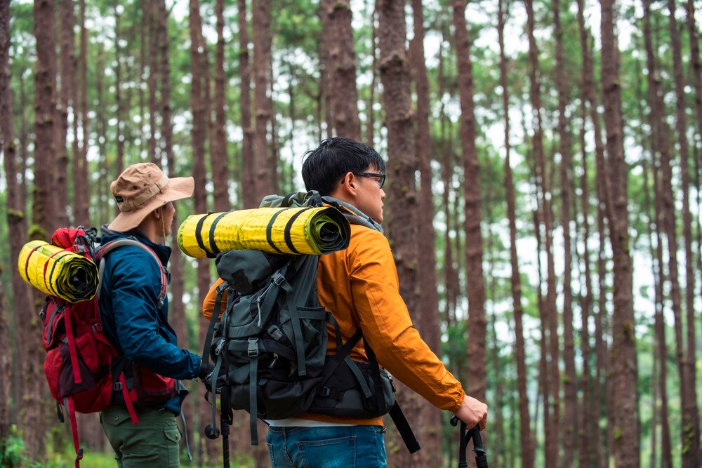 Two trekkers with backpacks in the woods.
