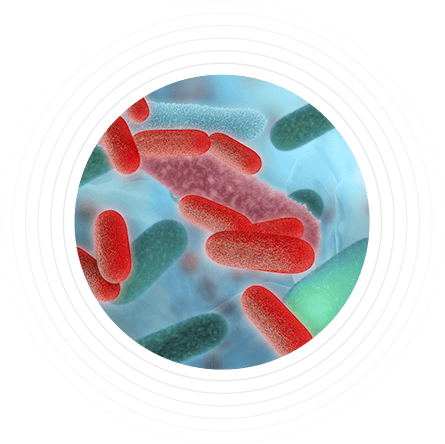 Microbioma desequilibrado