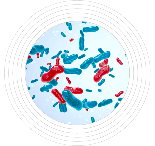 Comunidad microbiana