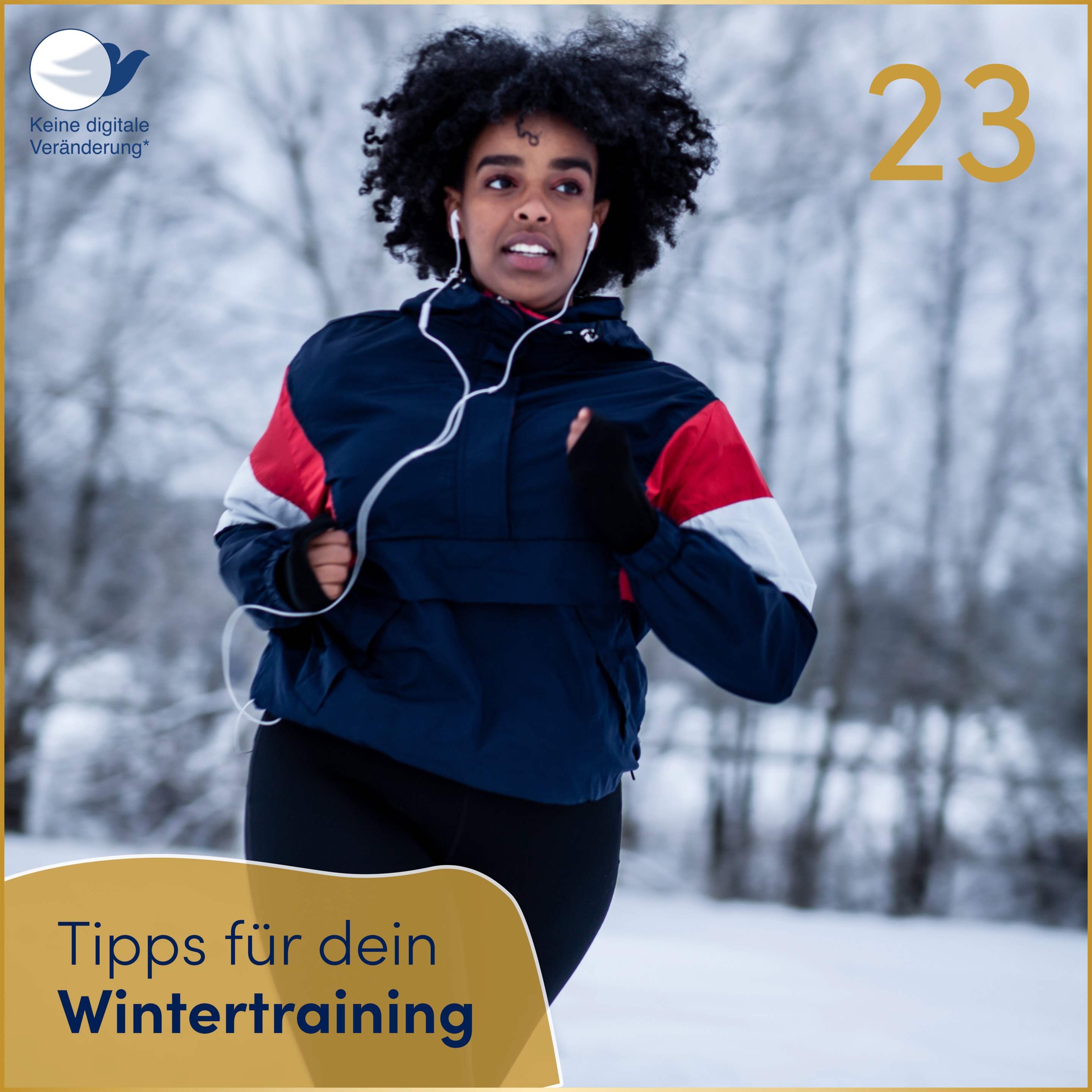 Adventskalender Highlights
