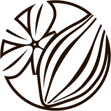 Outline illustration of a vanilla flower and a cocoa pod