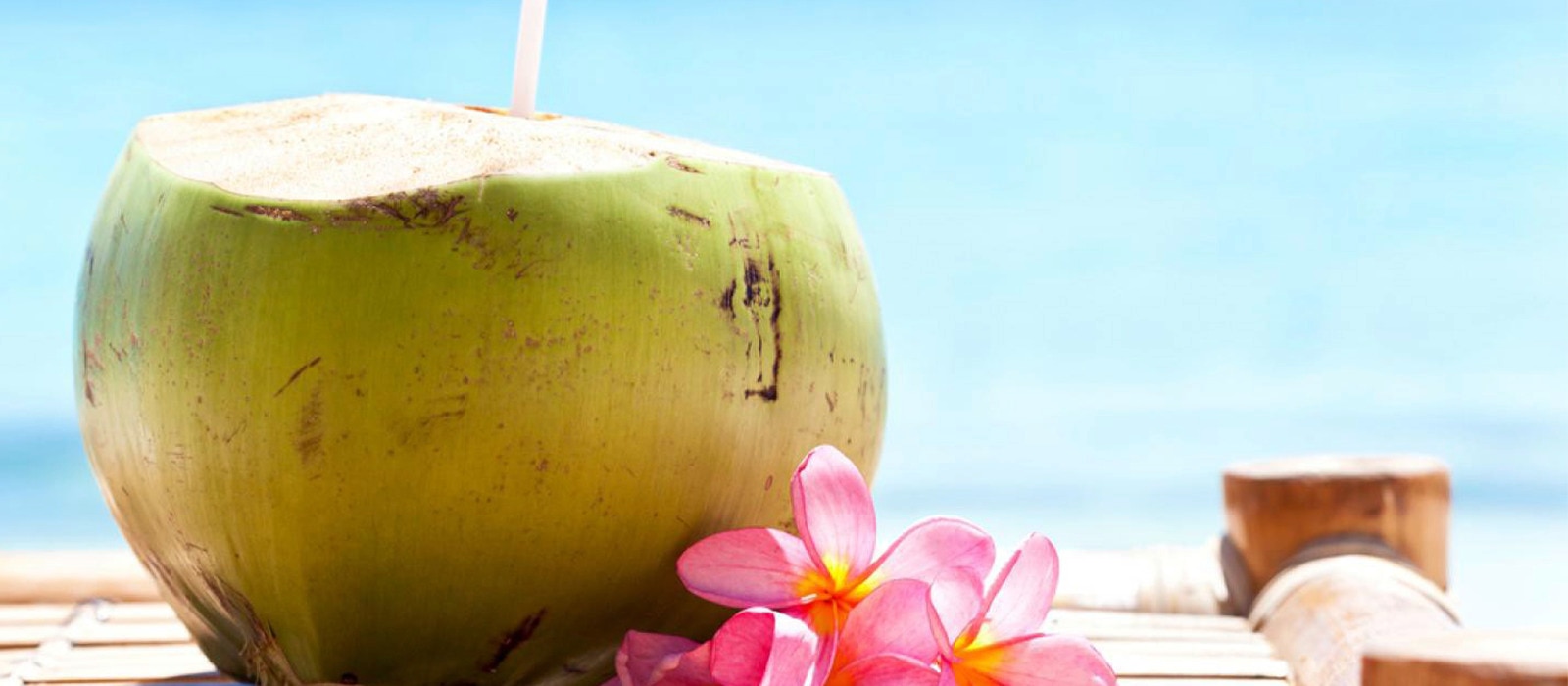 kelapa hijau segar