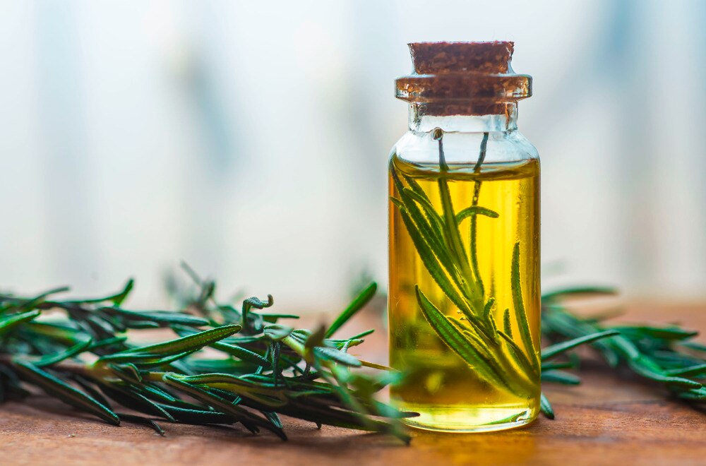 Rosemary oil in a jar surrounded by herbs.