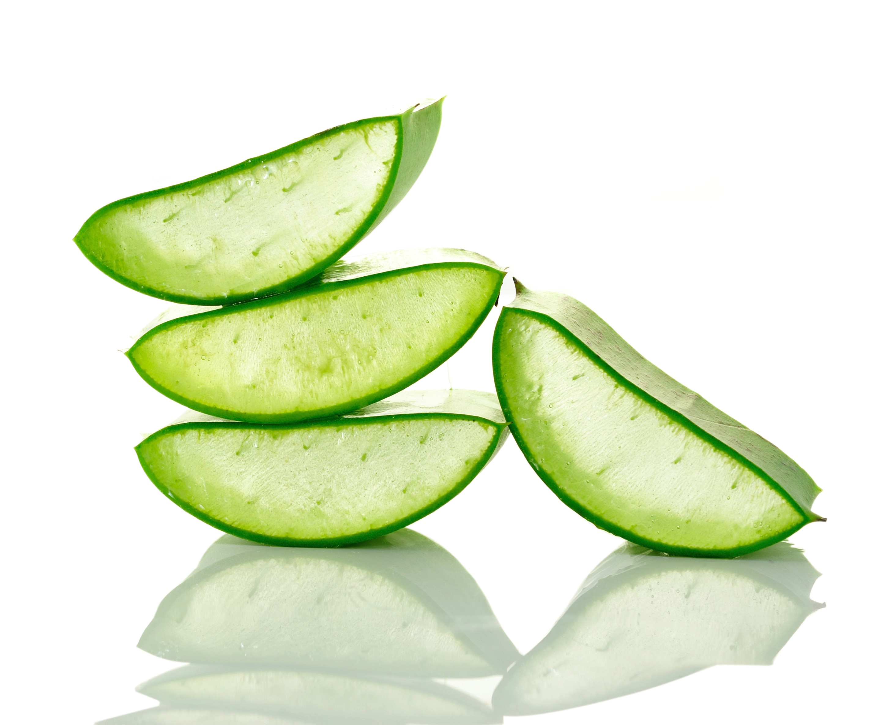 Freshly cut aloe vera