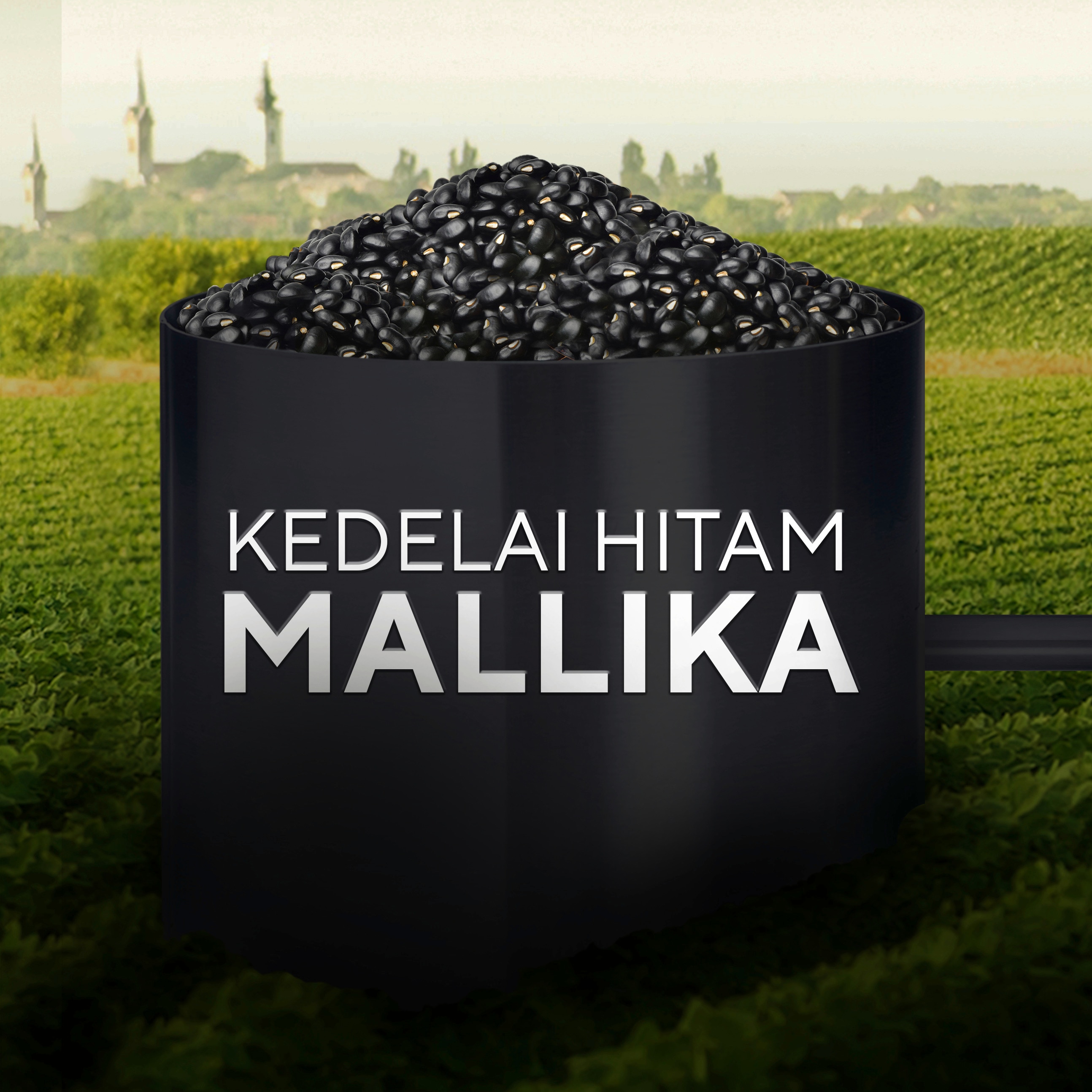 Mallika difermentasi 2-4 hari untuk menumbuhkan jamur khusus kecap.