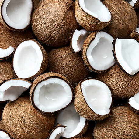 coconut background