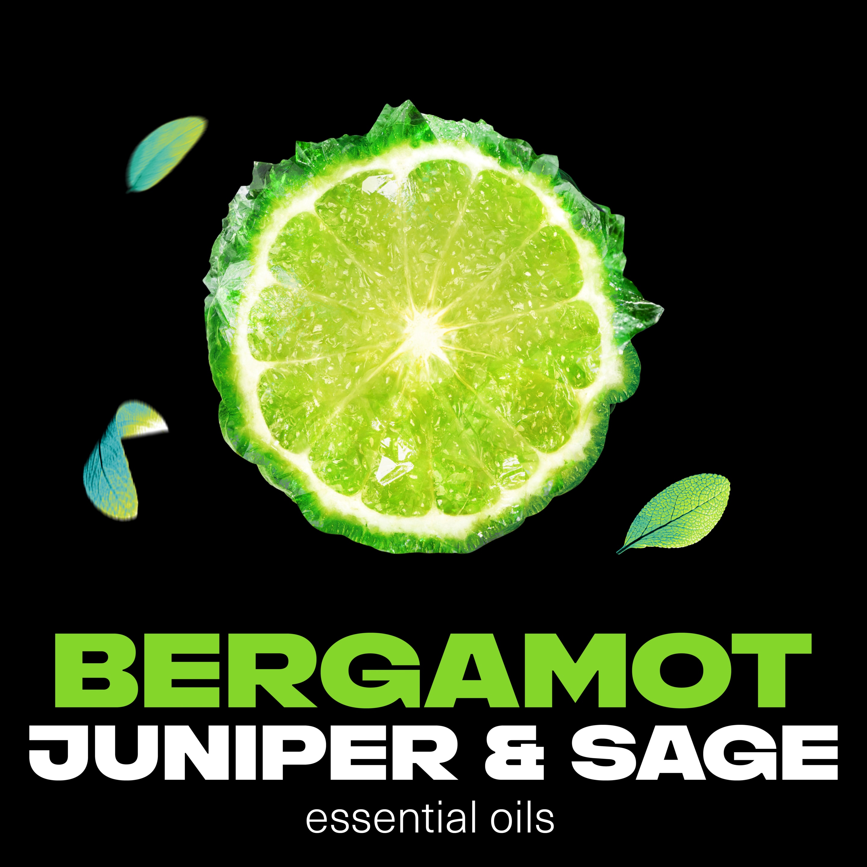 Aqua Bergamot Premium Deodorant Body Spray