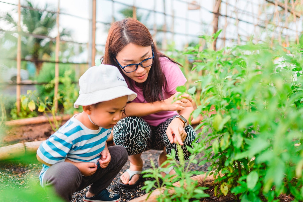 Young mother gardening with her toddler son.