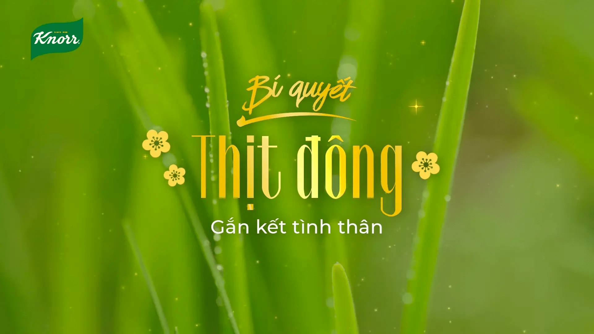 Món ngon ngày Tết cùng Knorr - Thịt đông - Đặc sản miền Bắc