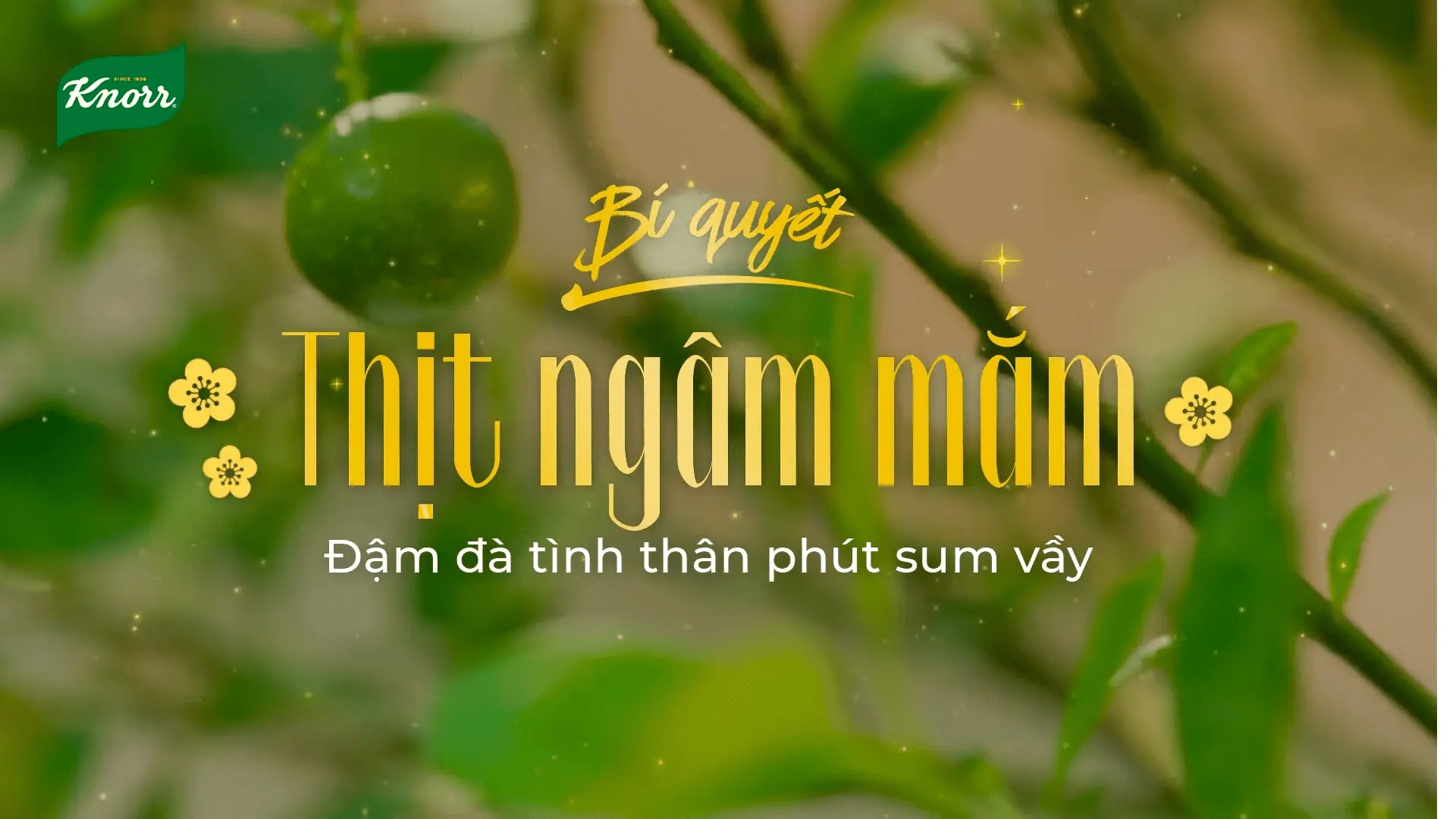 Món ngon ngày Tết cùng Knorr - Thịt ngâm mắm - Đặc sản miền Trung