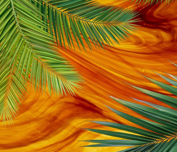Jungle themed background