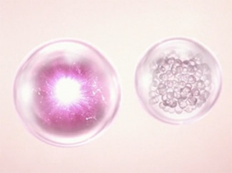 Apa Itu Niasorcinol? Cari Tahu Di Sini!