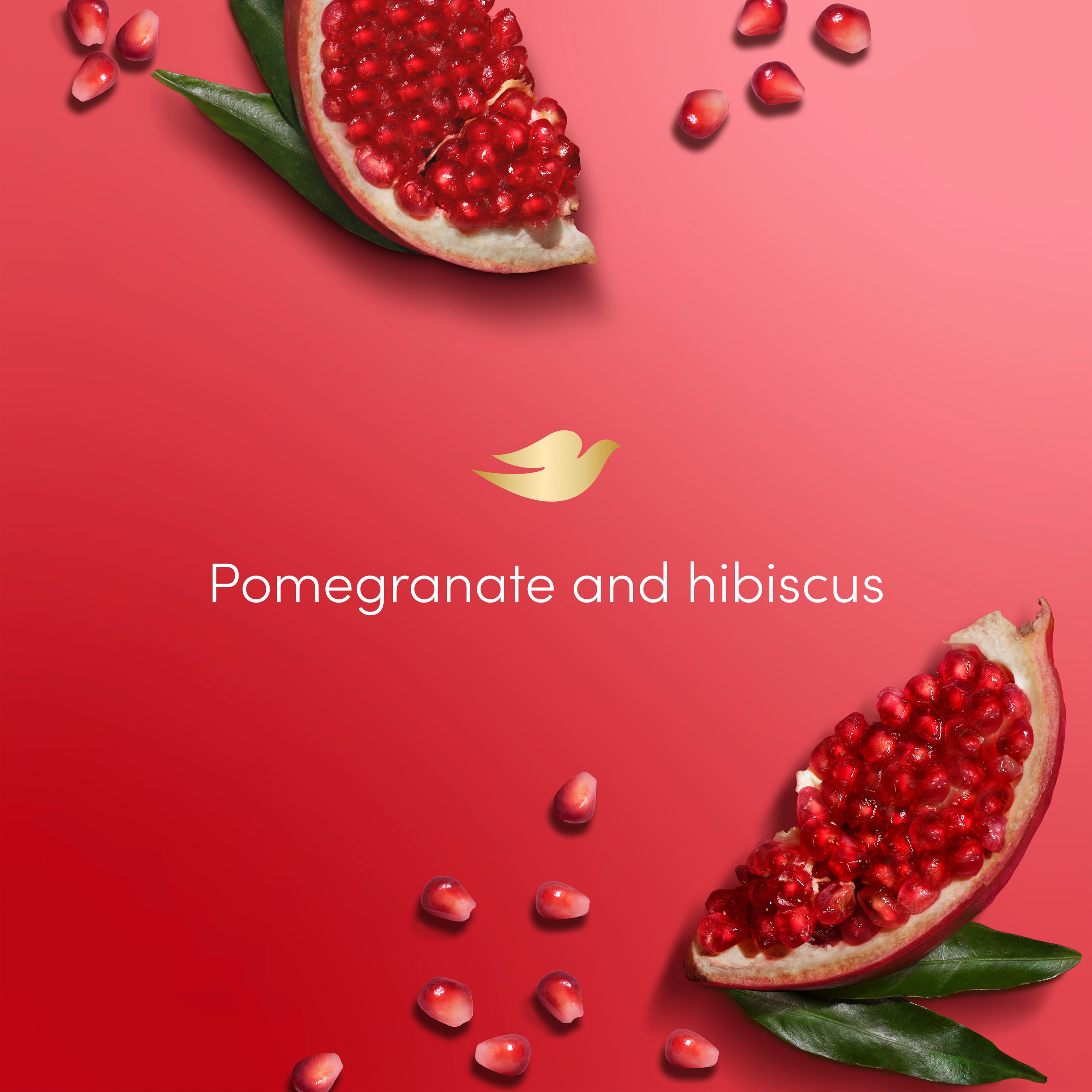 Advanced Care Reviving